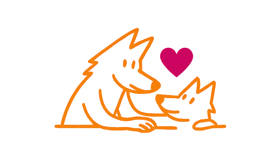 Accompagnement de la fin de vie