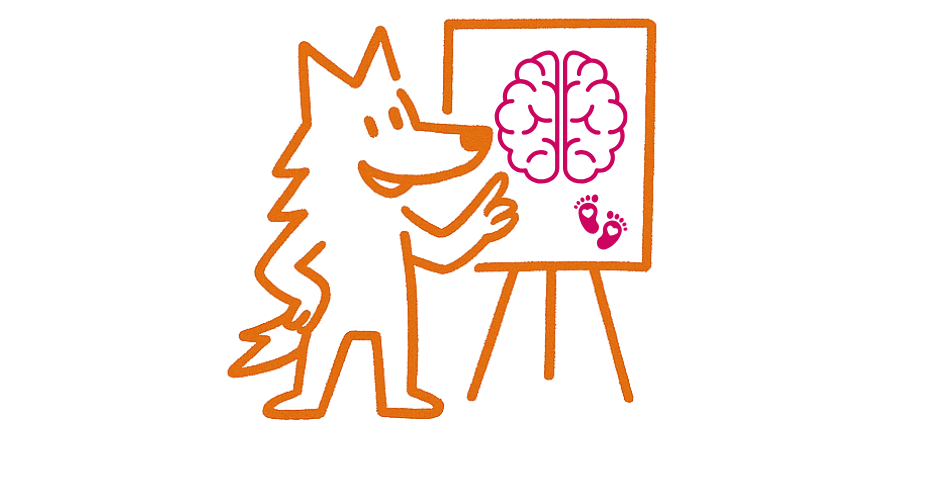 Comprendre pour mieux accompagner: Les nouvelles connaissances sur le cerveau de l'enfant