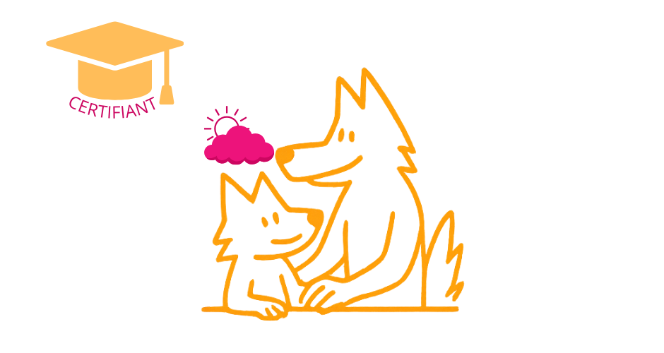 Adapter l’accompagnement à domicile d’un enfant avec troubles du spectre de l’autisme (RS autisme)